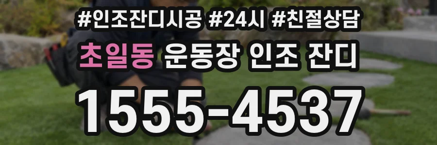 초일동 운동장 인조 잔디
