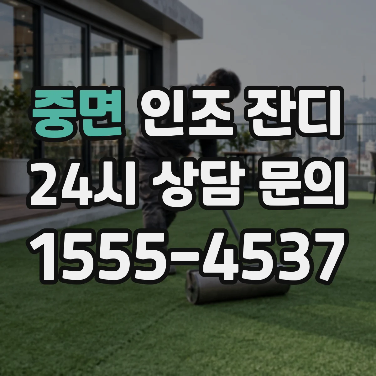 중면 인조 잔디