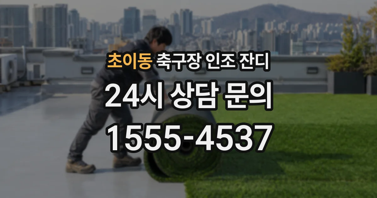 초이동 축구장 인조 잔디