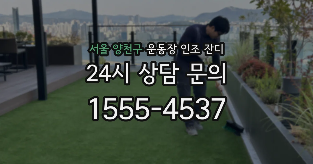 서울 양천구 운동장 인조 잔디