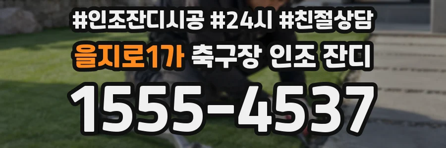 을지로1가 축구장 인조 잔디