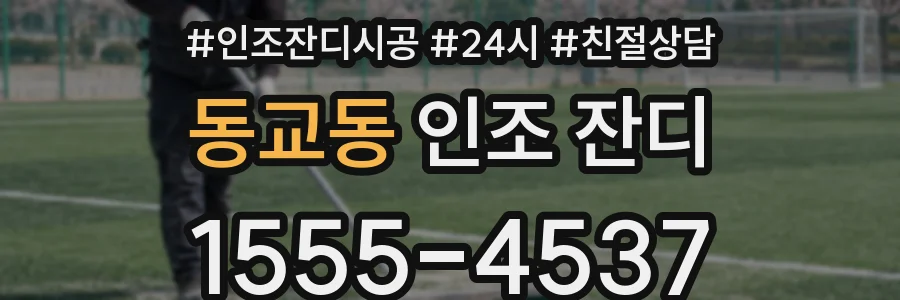 동교동 인조 잔디