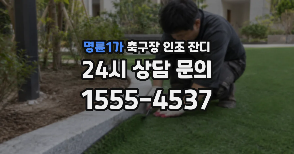 명륜1가 축구장 인조 잔디
