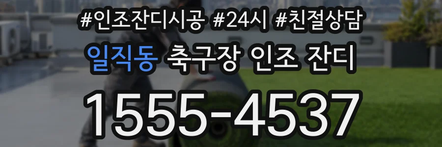 일직동 축구장 인조 잔디
