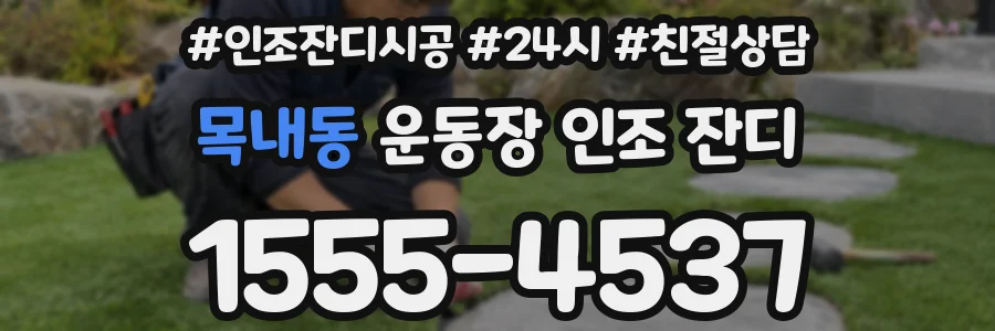 목내동 운동장 인조 잔디