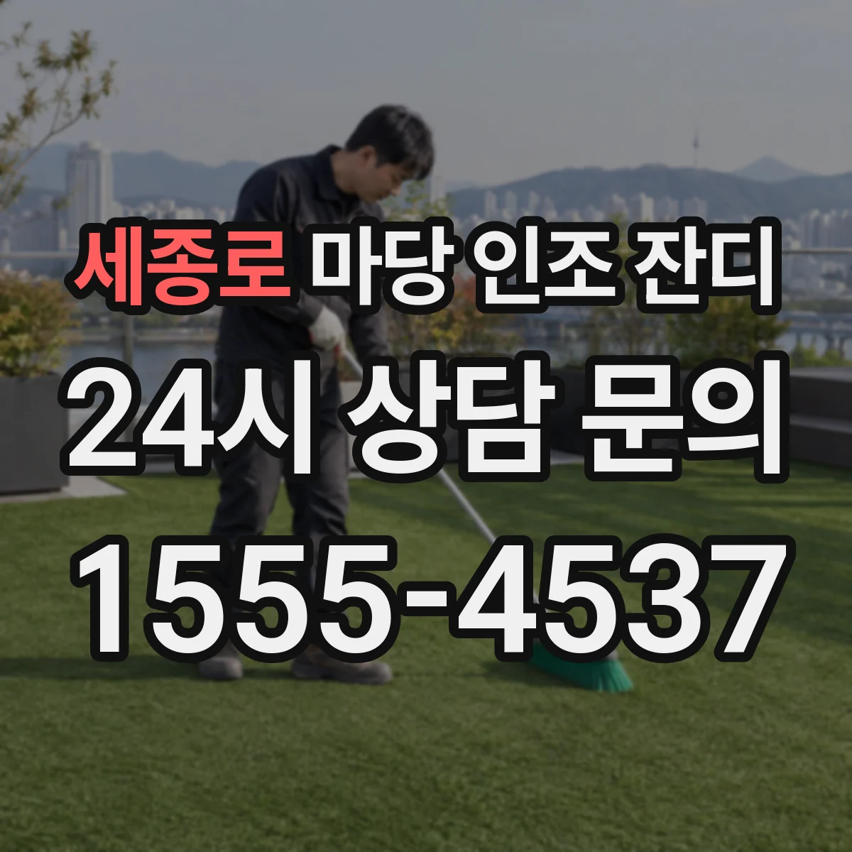 세종로 마당 인조 잔디