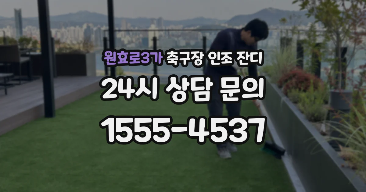 원효로3가 축구장 인조 잔디