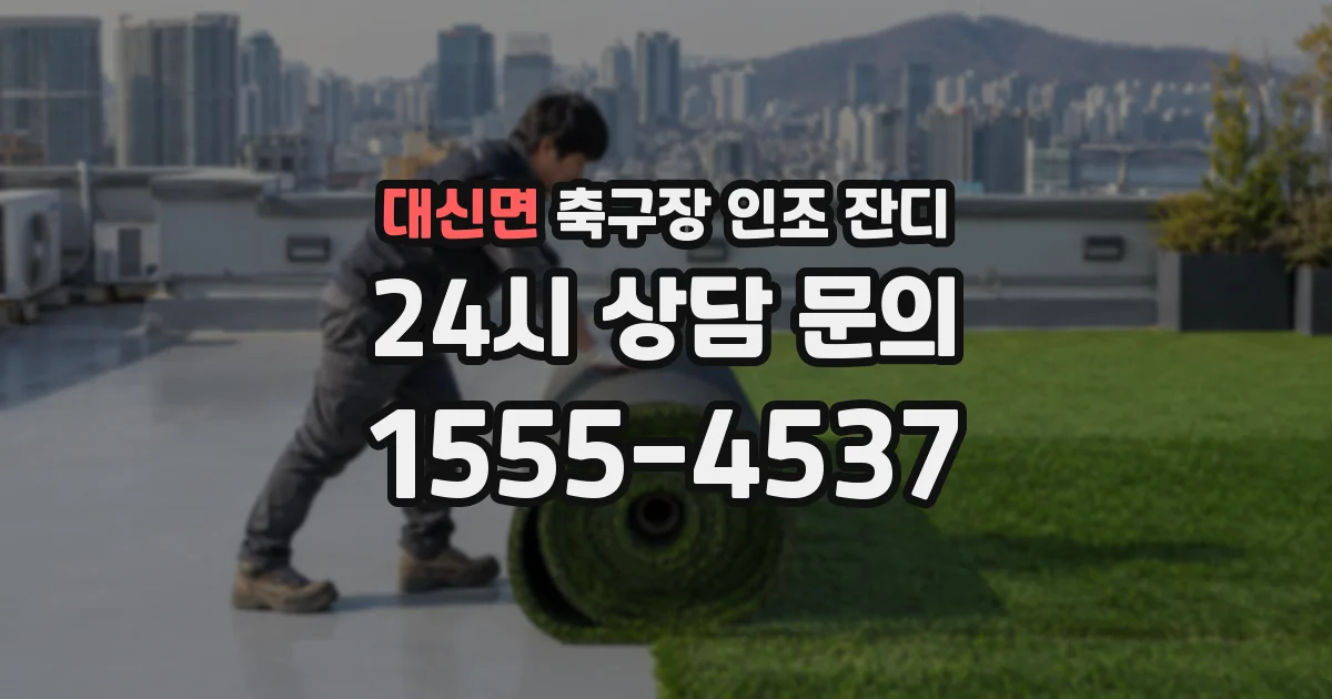 대신면 축구장 인조 잔디