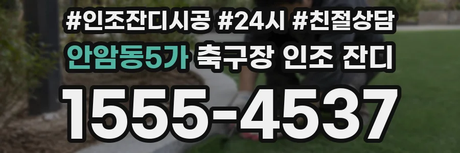 안암동5가 축구장 인조 잔디