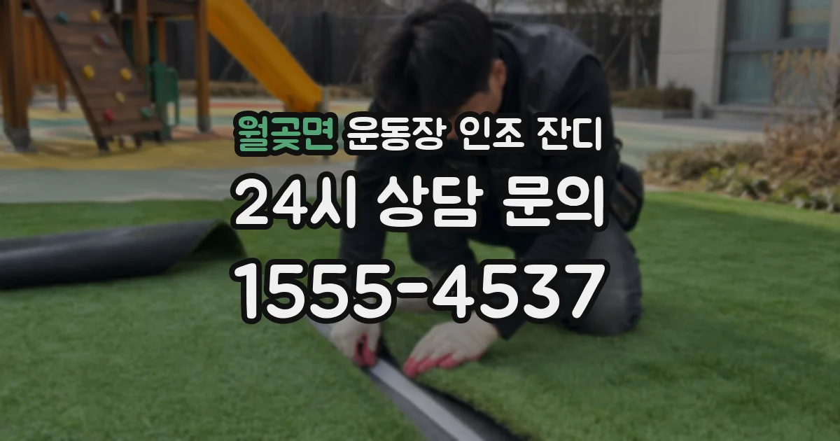 월곶면 운동장 인조 잔디