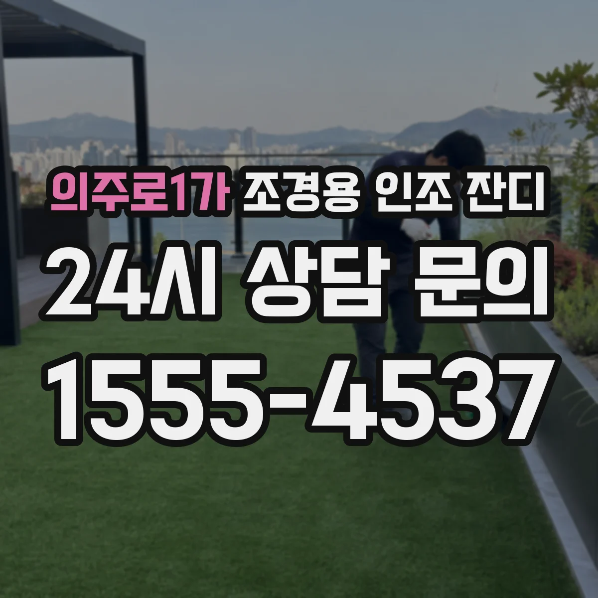 의주로1가 조경용 인조 잔디