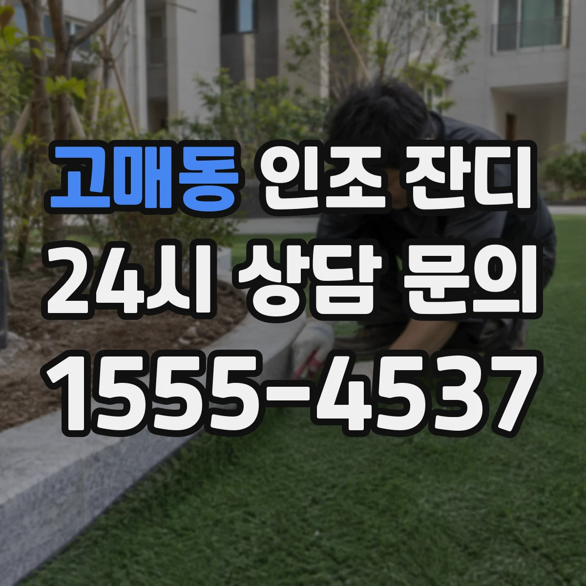 고매동 인조 잔디