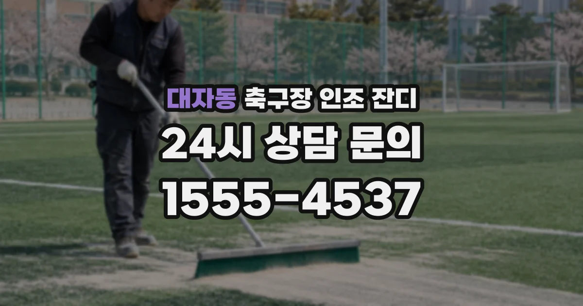 대자동 축구장 인조 잔디