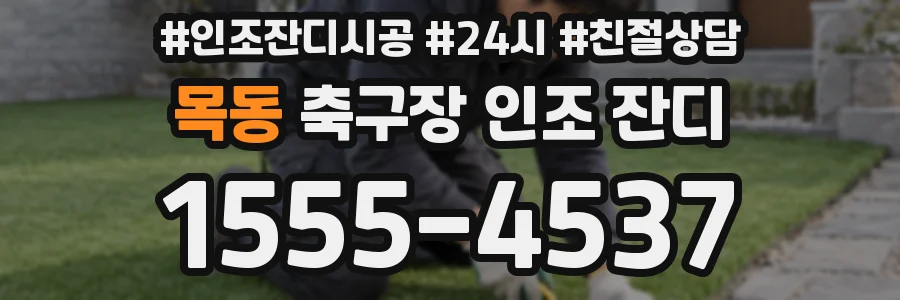 목동 축구장 인조 잔디