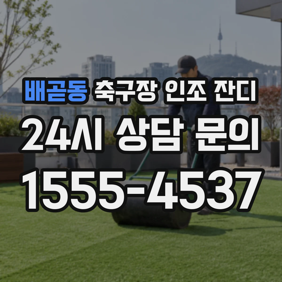 배곧동 축구장 인조 잔디