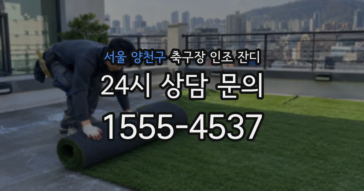 서울 양천구 축구장 인조 잔디