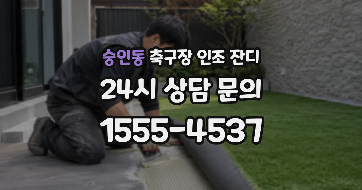 숭인동 축구장 인조 잔디