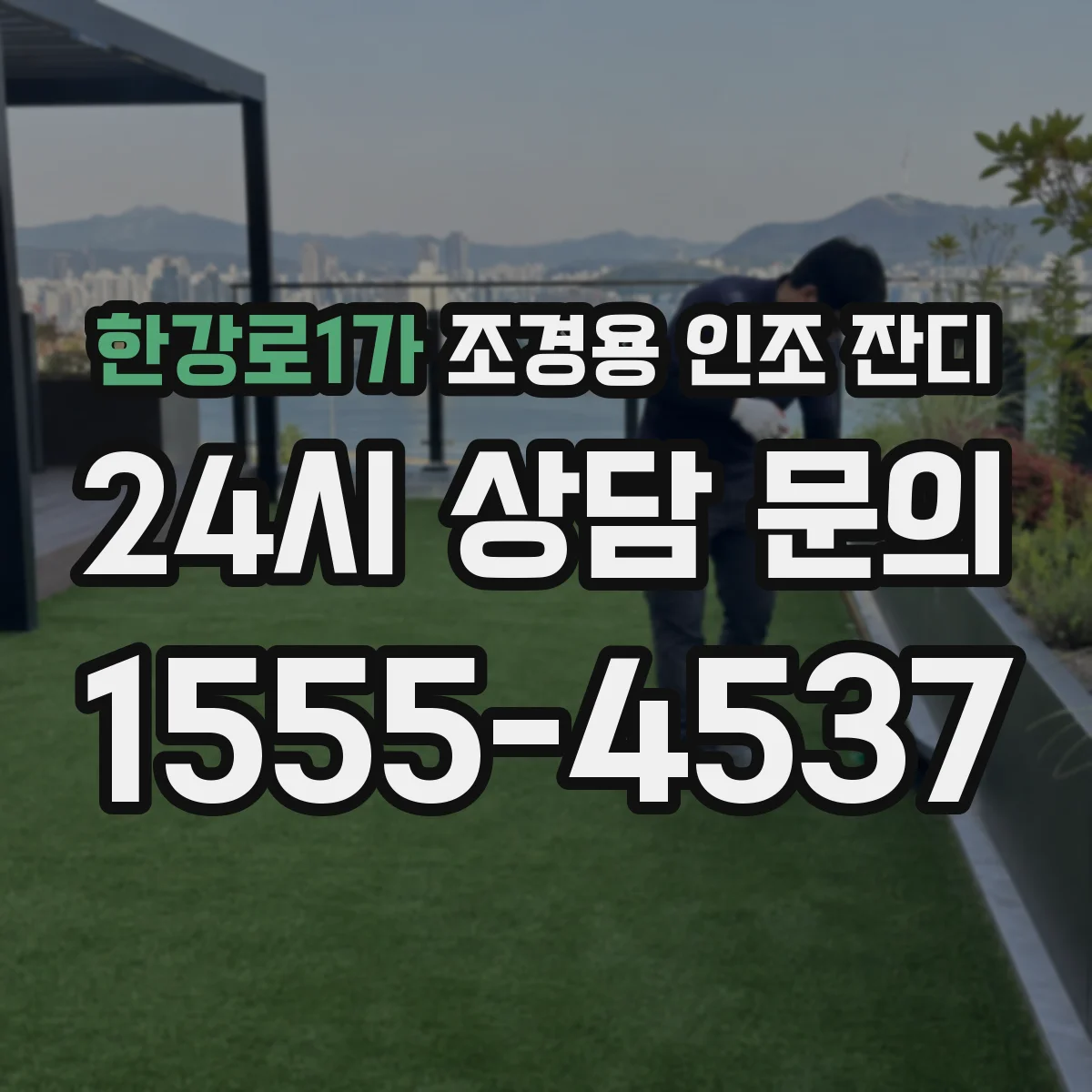 한강로1가 조경용 인조 잔디