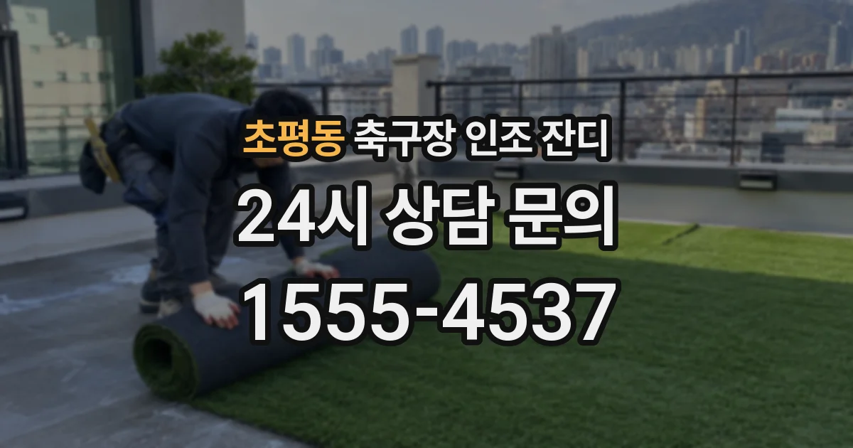 초평동 축구장 인조 잔디