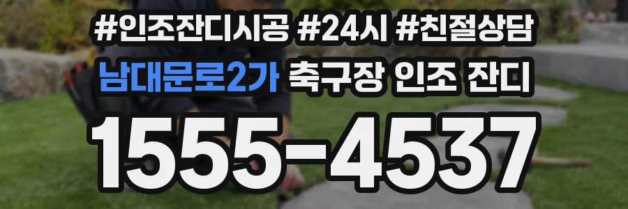 남대문로2가 축구장 인조 잔디