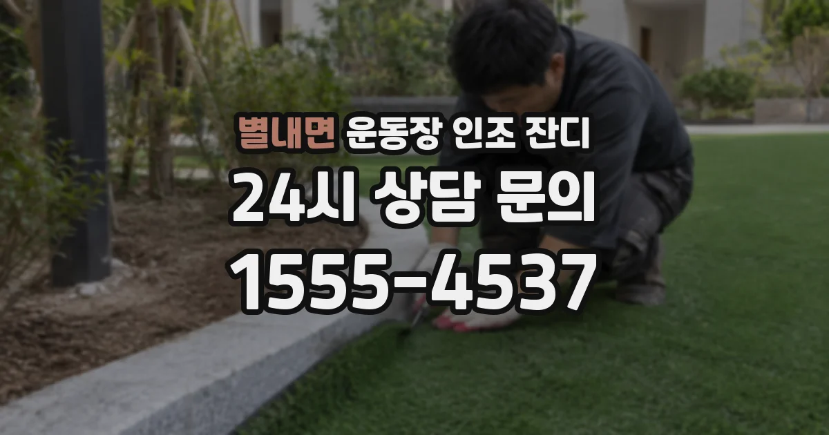 별내면 운동장 인조 잔디