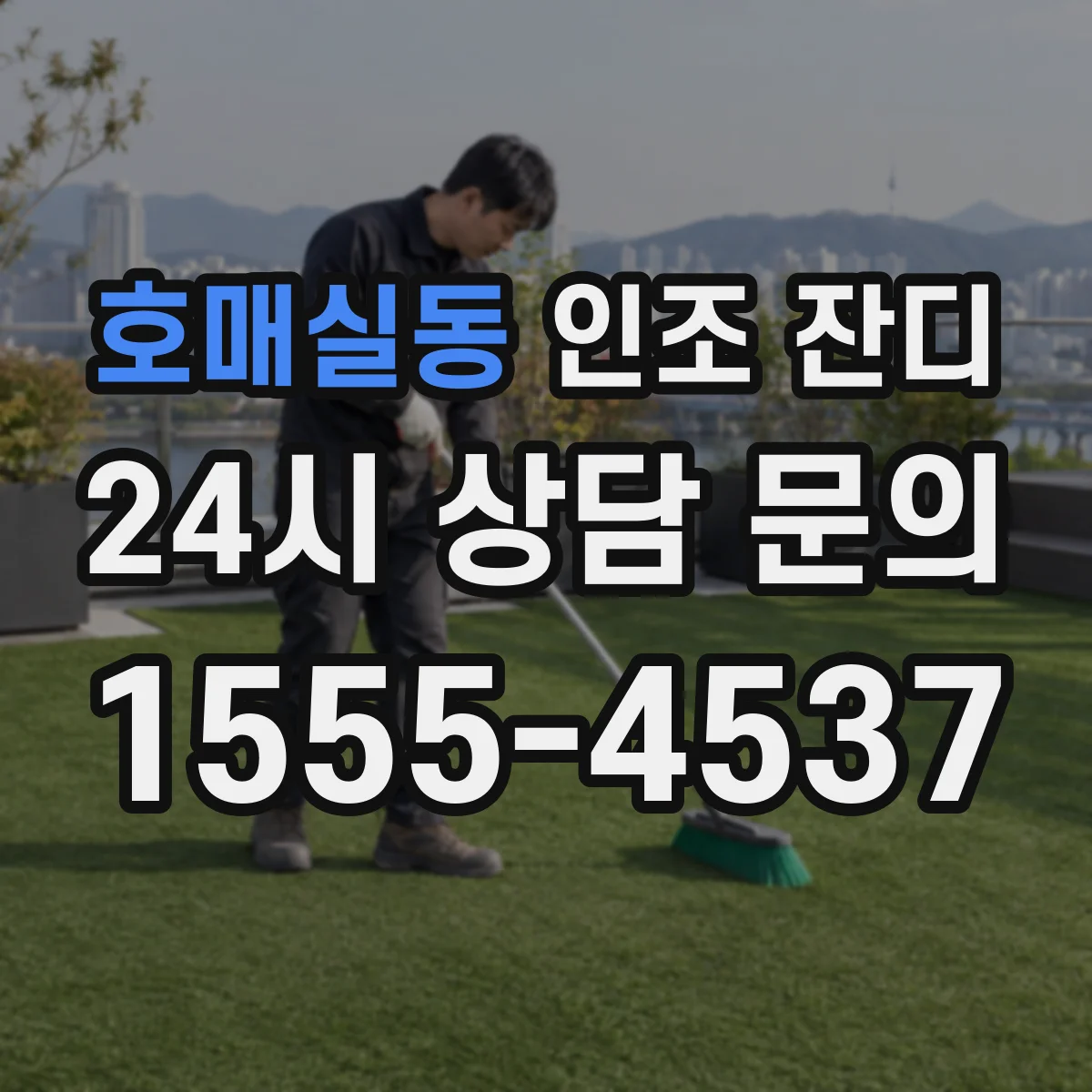 호매실동 인조 잔디