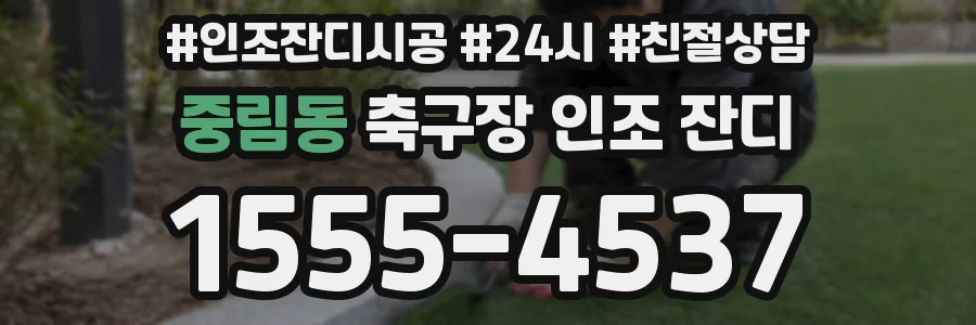 중림동 축구장 인조 잔디
