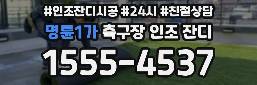 명륜1가 축구장 인조 잔디