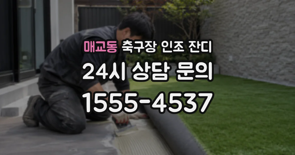 매교동 축구장 인조 잔디