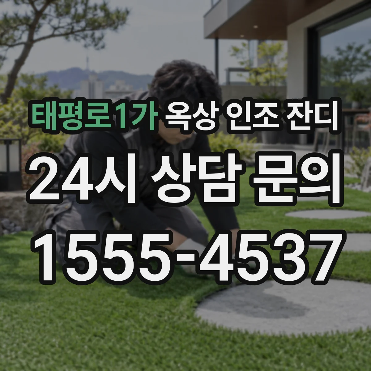 태평로1가 옥상 인조 잔디
