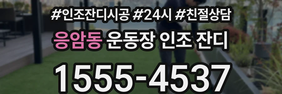 응암동 운동장 인조 잔디
