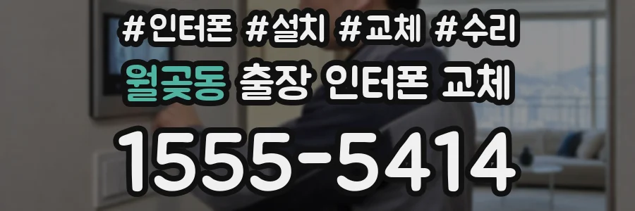 월곶동 출장 인터폰 교체