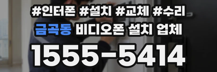 금곡동 비디오폰 설치 업체