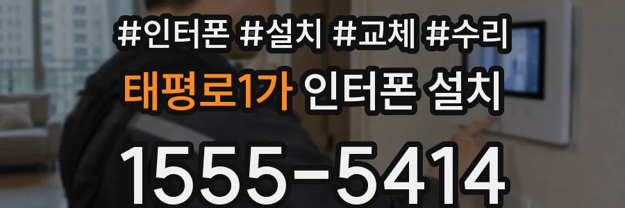 태평로1가 인터폰 설치