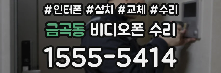 금곡동 비디오폰 수리