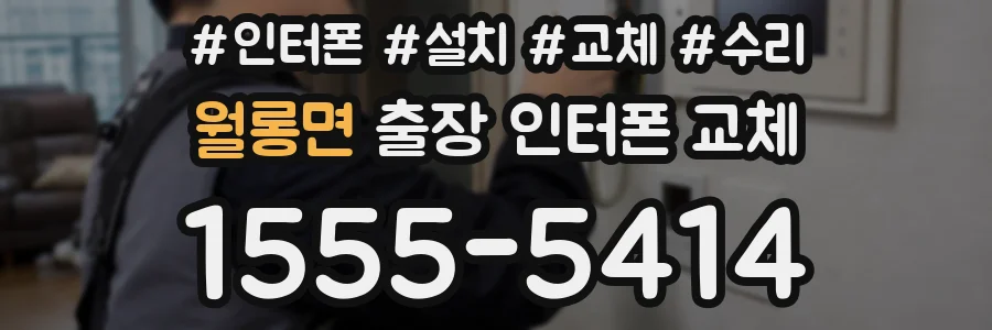 월롱면 출장 인터폰 교체