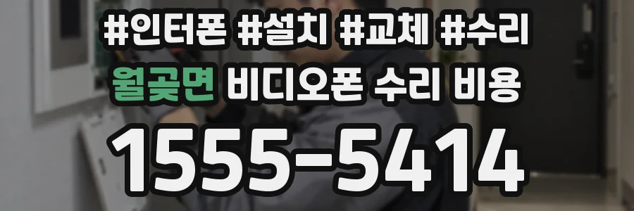 월곶면 비디오폰 수리 비용