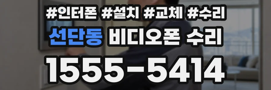 선단동 비디오폰 수리