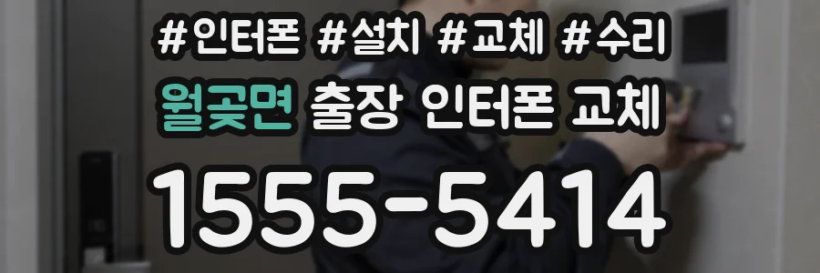 월곶면 출장 인터폰 교체