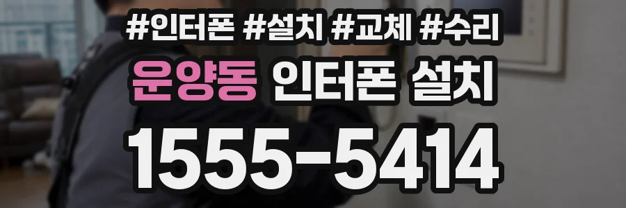 운양동 인터폰 설치