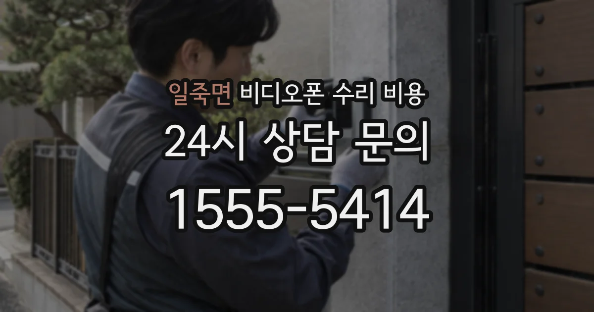 일죽면 비디오폰 수리 비용