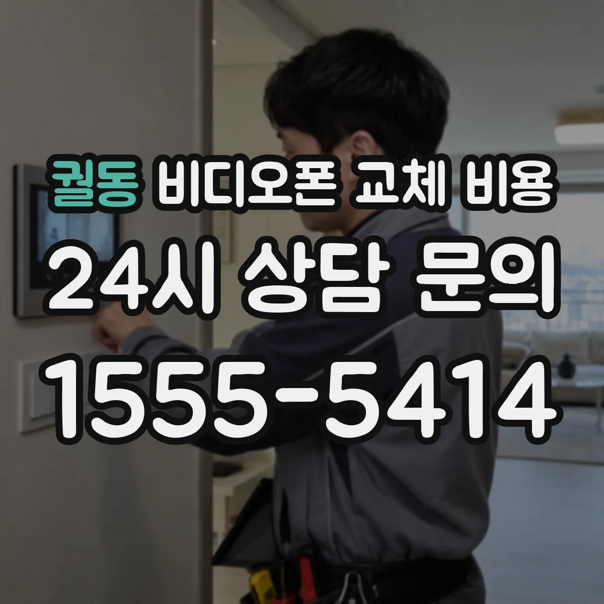 궐동 비디오폰 교체 비용