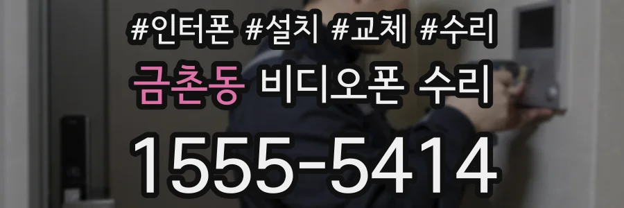 금촌동 비디오폰 수리