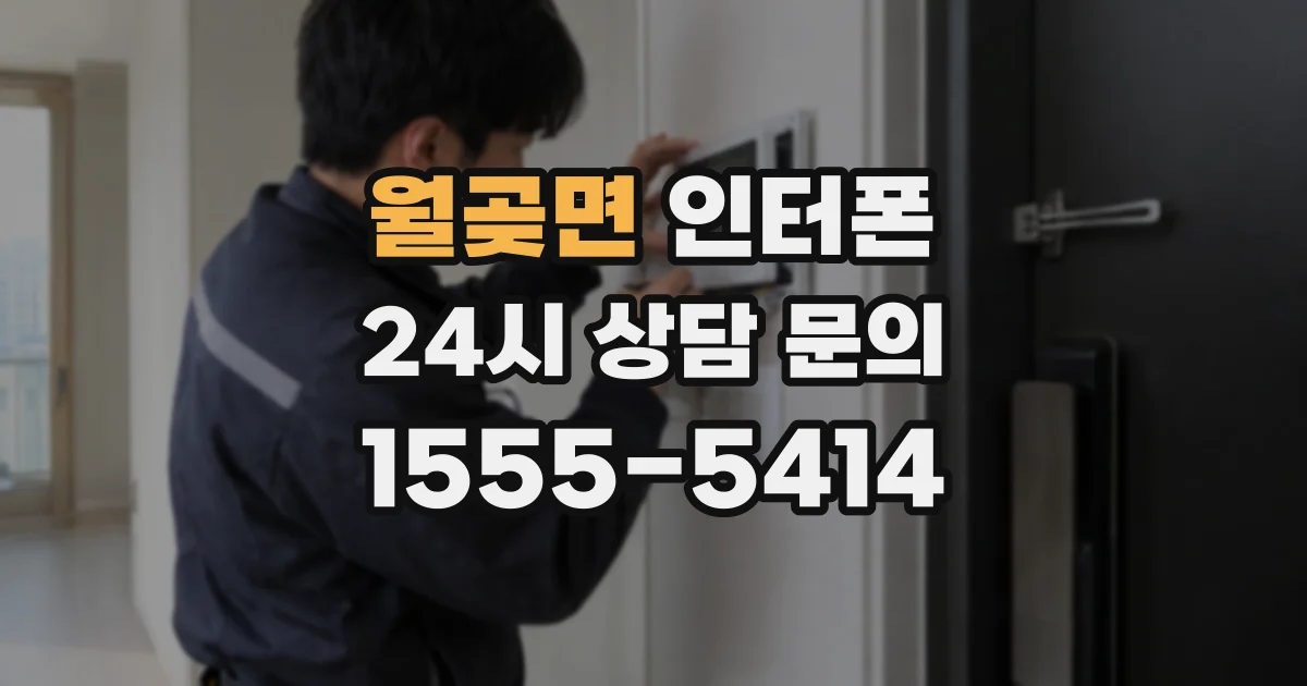 월곶면 인터폰