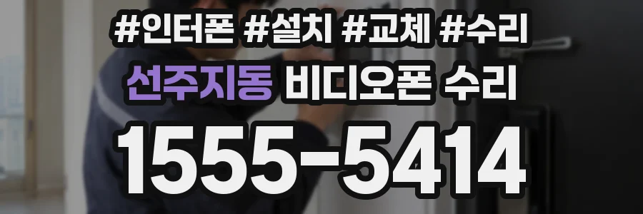 선주지동 비디오폰 수리