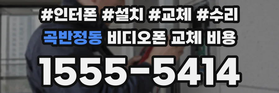 곡반정동 비디오폰 교체 비용