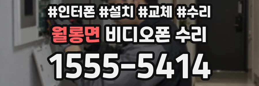 월롱면 비디오폰 수리