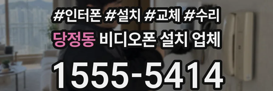 당정동 비디오폰 설치 업체