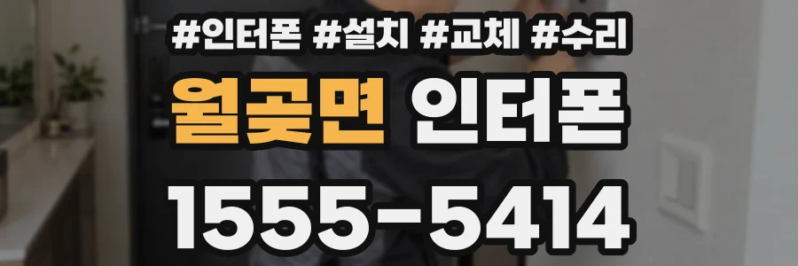 월곶면 인터폰