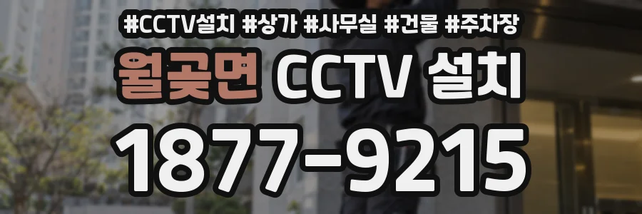 월곶면 CCTV 설치